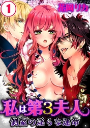 私は第3夫人-側室の淫らな運命