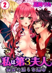私は第3夫人-側室の淫らな運命 2巻