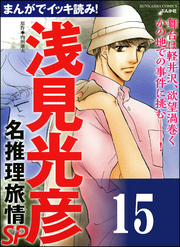 浅見光彦ミステリーSP（分冊版）　【第15話】