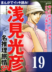 浅見光彦ミステリーSP（分冊版）　【第19話】