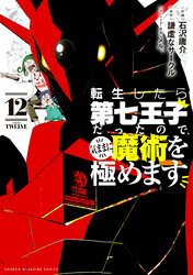 転生したら第七王子だったので、気ままに魔術を極めます（１２）