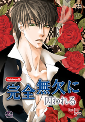 完全無欠に囚われる 28