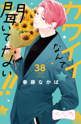 カワイイなんて聞いてない！！　ベツフレプチ（３８）
