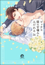 ビッチな猫は好奇心に勝てない（分冊版）　【第34話】