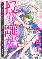 授か離婚～一刻も早く身籠って、私から解放してさしあげます！【合冊版】16