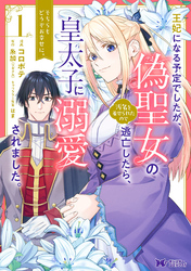 王妃になる予定でしたが、偽聖女の汚名を着せられたので逃亡したら、皇太子に溺愛されました。そちらもどうぞお幸せに。（コミック） 分冊版 24