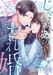 じゃない方、だけど愛され婚～契約婚の相手は一途すぎる社長１１