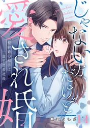 じゃない方、だけど愛され婚～契約婚の相手は一途すぎる社長１４