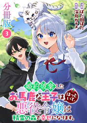 婚約破棄したお馬鹿な王子はほっといて、悪役令嬢は精霊の森で幸せになります。【分冊版】3