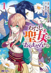 わたし、聖女じゃありませんから（コミック） 分冊版 30