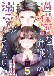 過保護なエリート弁護士の溺愛がとまりません【分冊版】5話