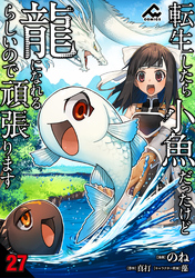 【分冊版】転生したら小魚だったけど龍になれるらしいので頑張ります 第27話