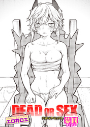 DEAD OR SEX 幕間