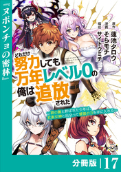 どれだけ努力しても万年レベル０の俺は追放された～神の敵と呼ばれた少年は、社畜女神と出会って最強の力を手に入れる～【分冊版】（ノヴァコミックス）１７