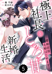 comic Berry’s離婚前提、夫婦はじめます～極上社長ととろ甘新婚生活～5巻