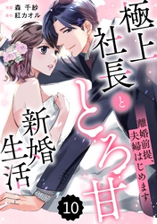 comic Berry’s離婚前提、夫婦はじめます～極上社長ととろ甘新婚生活～10巻