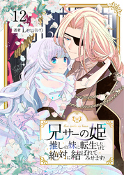 兄サーの姫～推しの妹に転生したけど、絶対に結ばれてみせます！～ 12