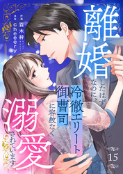 離婚したはずなのに、冷徹エリート御曹司に容赦なく溺愛されています１５