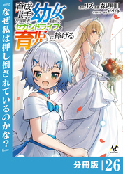 育成上手な冒険者、幼女を拾い、セカンドライフを育児に捧げる【分冊版】（ノヴァコミックス）２６