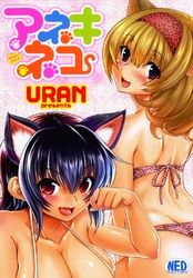 アネキネコ