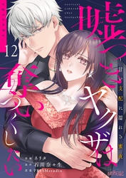 嘘つきヤクザは奪いつくしたい～甘い支配に濡れる蜜夜 12