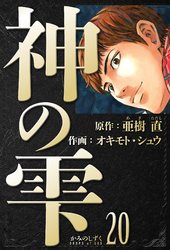 神の雫　愛蔵版　20