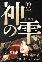 神の雫　愛蔵版　22