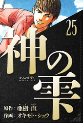 神の雫　愛蔵版　25