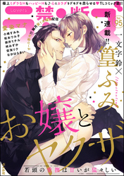 禁断Ｌｏｖｅｒｓ　Ｖｏｌ．０９５