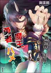 異世界を征服しに来たら、魔王みたいな勇者にハメられた（分冊版）