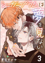 シュガープラムは夢を見ない(分冊版) 【第3話】