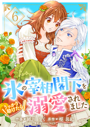 氷の宰相閣下をうっかり助けたら溺愛されました６