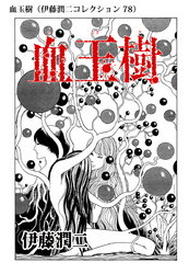 血玉樹（伊藤潤二コレクション 78）