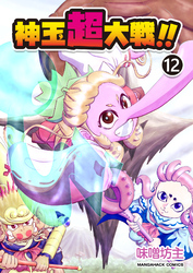 神玉超大戦！！12巻