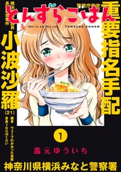 【期間限定　無料お試し版】とんずらごはん