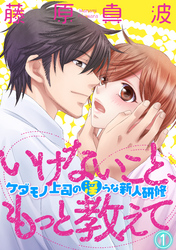 いけないこと、もっと教えて～ケダモノ上司の淫らな新人研修～