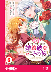 婚約していないのに婚約破棄された私のその後【分冊版】12