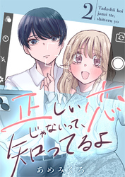 正しい恋じゃないって、知ってるよ【単行本版】 2巻