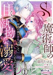 S級魔術師の甘くて執拗な溺愛　初恋の彼に浄化と称してエロいことしかされません！？１