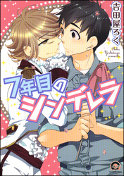 7年目のシンデレラ