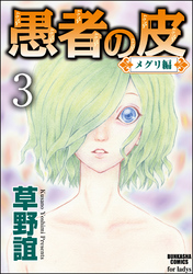 愚者の皮－メグリ編－（分冊版）　【第3話】