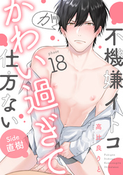 不機嫌イトコがかわい過ぎて仕方ない(18)　side直樹